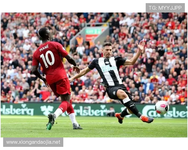 ✅体育直播🏆世界杯直播🏀NBA直播⚽- 国际红树林中心在深圳揭牌成立 中国外交部介绍情况- sports